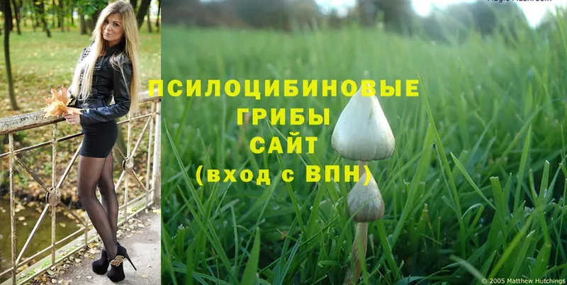 Псилоцибиновые грибы MAGIC MUSHROOMS  omg tor  Первоуральск  купить  сайты 